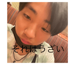 520515677
