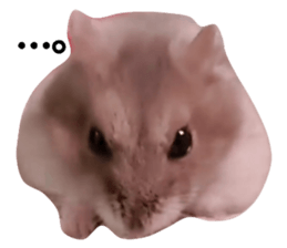 520587206