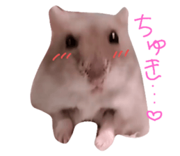 520587208