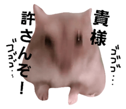 520587215