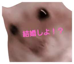520587220