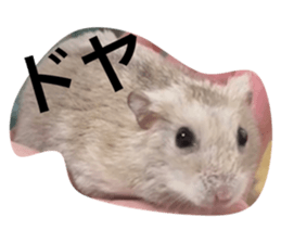 520608174