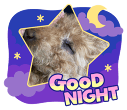 520613556