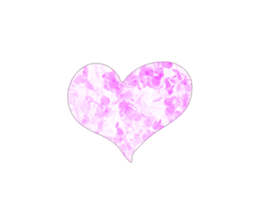 520617005