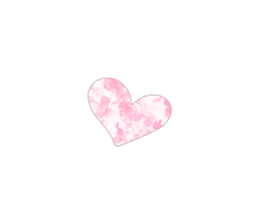520617080
