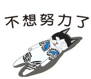 520628781