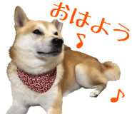 520640518