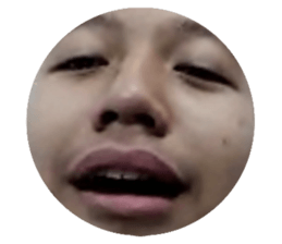 52067345