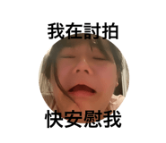520686555