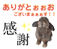 520697379