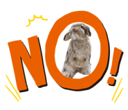 520697387