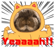 520697399