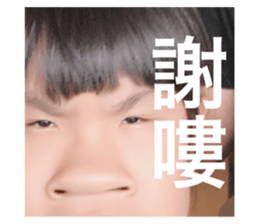 520746205