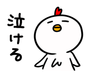 520785875