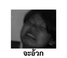 520807485