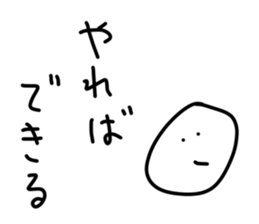 52081754