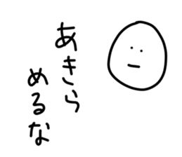52081763