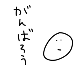 52081780