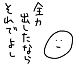 52081781