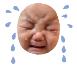 520839396