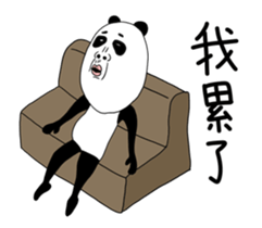 520850605