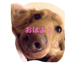 520888238
