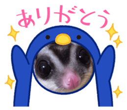 520924290