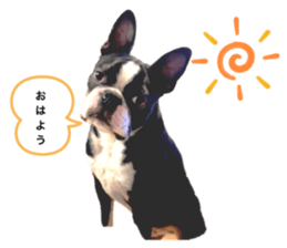 520925270