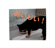 521016428