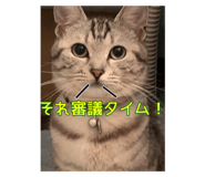 521022727