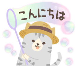521080153