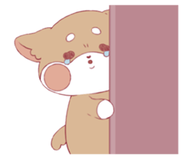 521081127