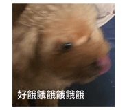 521113545