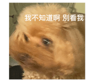 521113546