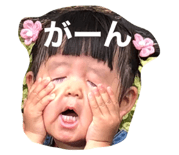 521135533