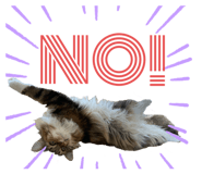 521171629