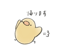 52117392