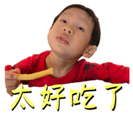 521176549