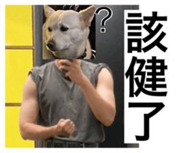 521179363
