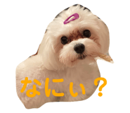 521186471