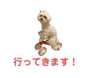 521186475
