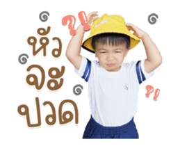 521195646