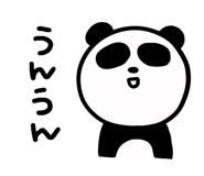 521212838