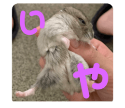 521236348