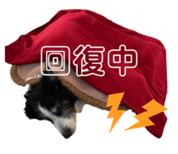 521236674