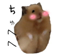 521327458