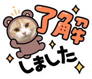521341123