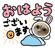 521341131