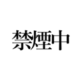 521359981