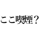 521359988